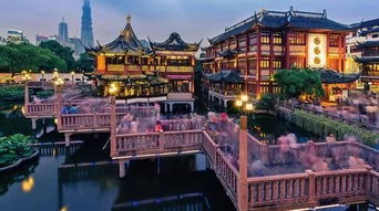 路上的那些碎碎念