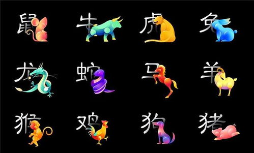 探寻水兔年运势不佳的根源