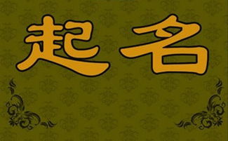 一些其他的想法 (我也不了解为哪些忽然想到这一些…)
