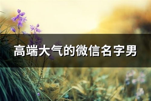 一些更高级一点的选择 (可能需要专业解读)