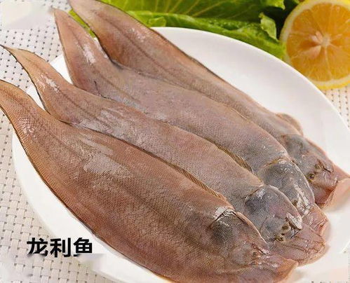 绝了！这条鱼长得也太抽象了吧
