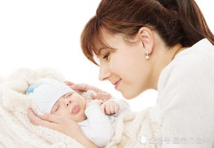 务实派：