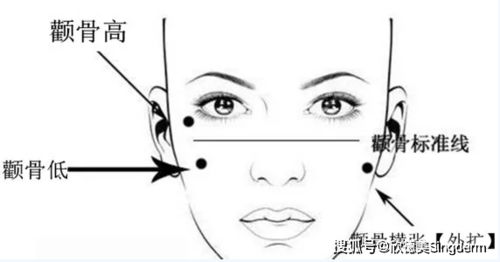 面部脂肪层：高颧骨的关键
