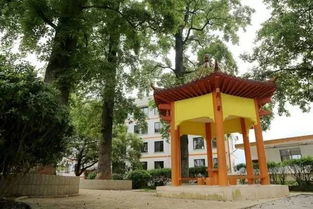桂林翰林双语学院,桂林翰林轩房子怎么样