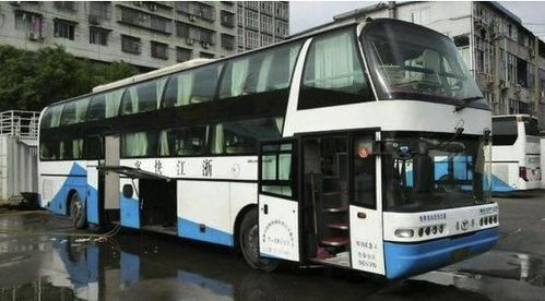 温州到重庆大巴票价几何，旅游出行价格之谜何时揭晓？