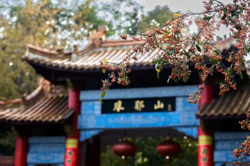 实践案例：2023年雨天的意外收获