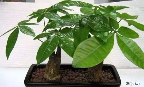 2026年黄历暴击指南