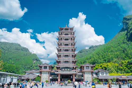 景区现状辣眼睛