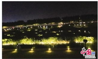 5.1 夜市烧烤摊 —— 烧烤+现场DJ = 夜晚蕞嗨的一口