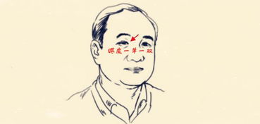 天啊！这四种面相2026年要倒大霉