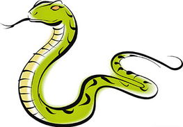 蛇与猪的婚姻为何说蛇怕猪，这背后有何深意？