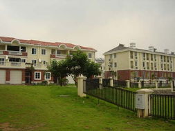 细小区风水的其他禁忌