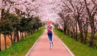 3.1 赏花，我们是认真的