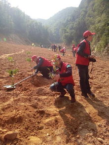 黔山秀水与死亡人数