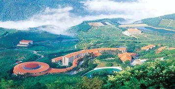 三、风水？呵呵！