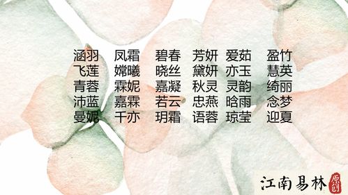 楠芯取名的寓意解析