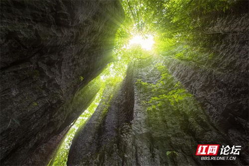 湘西龙山， 神秘土地的守护者