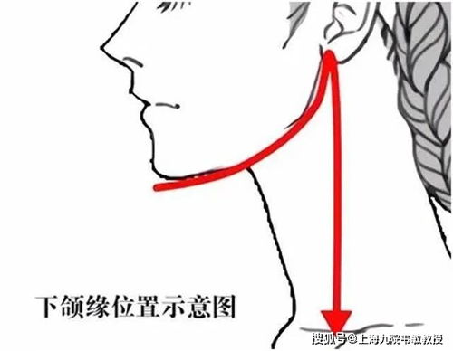 3）嘴巴：表达与财富有
