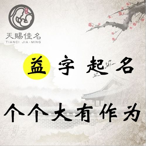 起名策略与实践提议