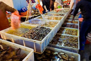 怎么去五龙口？