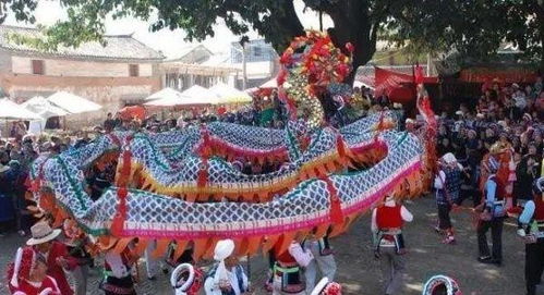 彝族：打歌狂欢