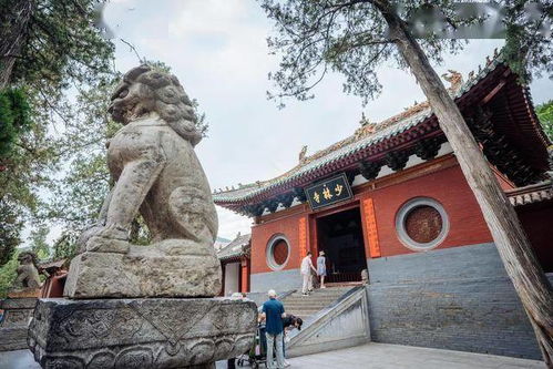 核心景点：不只是打卡点， 而是陷阱迷宫