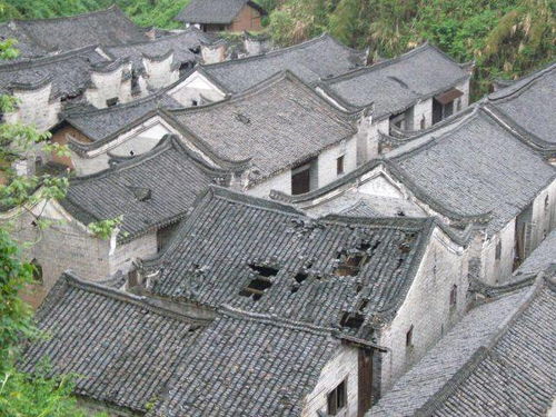 二、探寻历史持续发展的足迹