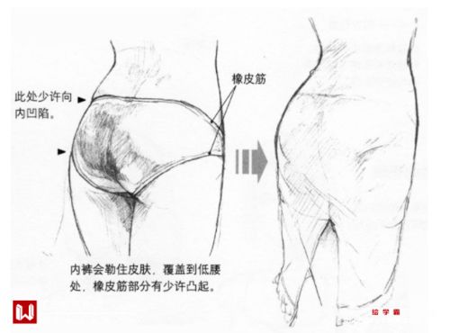 女人臀部大运势如何？从臀部看一生运势吉凶？