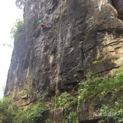 龙山：蚊子们的五星级自助餐厅