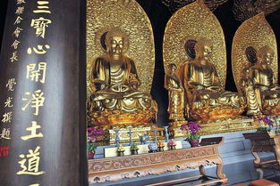 大佛古寺：繁华中的宁静之地
