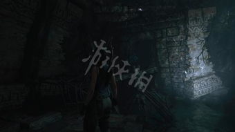 深夜时分， 古墓深处的低语