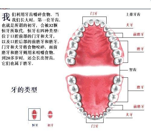 风水布局与人的牙齿健康之间是否存在关联？