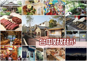 二、吃喝玩乐：口腔警报与胃部冒险指南
