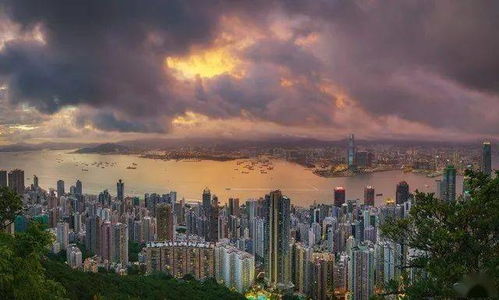 被遗忘的角落与数字的重生