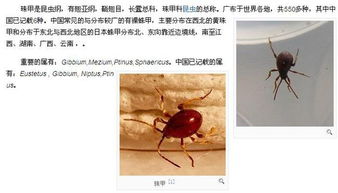 家里黑蜂什么预兆,家有黑蜂好不好