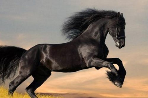 二、 绝对不能用的字！用了就惨了！