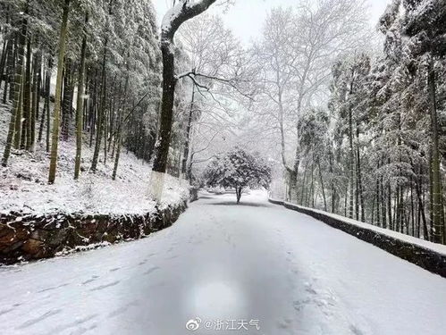 揭秘梦境：为何你梦见地面白茫茫一片，覆盖厚厚的“雪”呢？