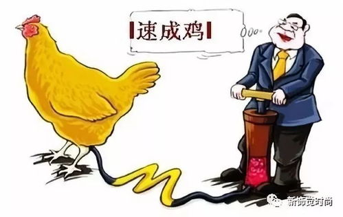 鸡不可失：肯德基在召唤