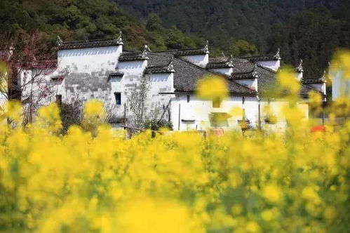 江西婺源：一个让你钱包哭泣的