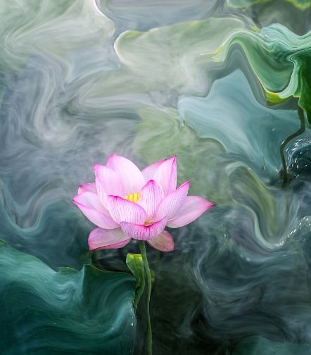 桃花边是什么生肖？夫人命中带桃花猜一生肖是什么意思？这究竟预示着什么生肖的命运？