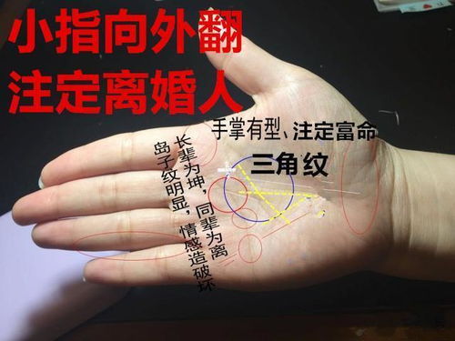 天呐！手掌上惊现神秘