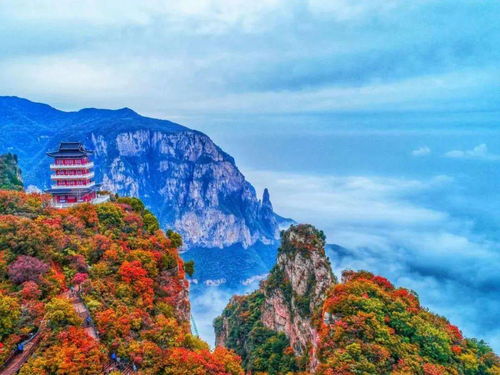 云台山：红叶不是终点，是峡谷里的
