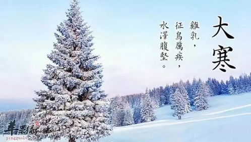 大寒上海风俗：传统韵味，爆款体验