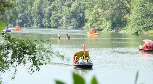 2026年必去景点！不去后悔一辈子！去了后悔八辈子！