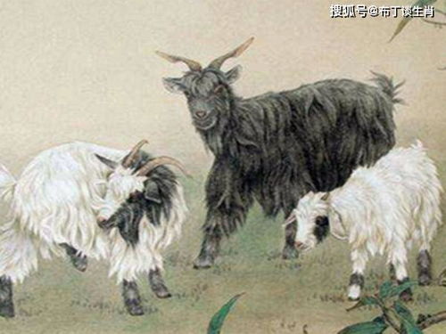 2026年属羊的人结婚，哪一天是选择婚姻吉日的最佳选择？