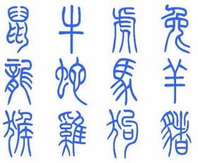 鼎字打一生肖，期字代表什么生肖，这究竟是什么生肖的象征？