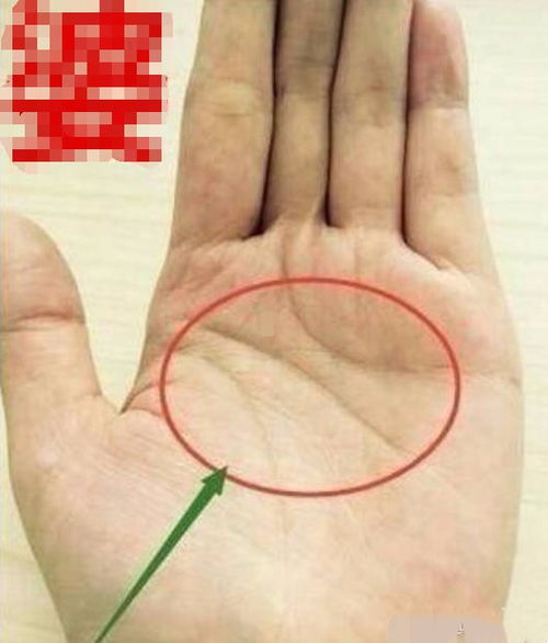 救命！我的手掌在暗示什么？