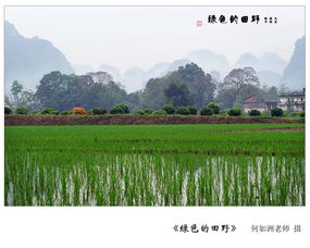三、古韵风情？（可嫩吧）漫步在时间隧道（如guo它真的是一条隧道的话）