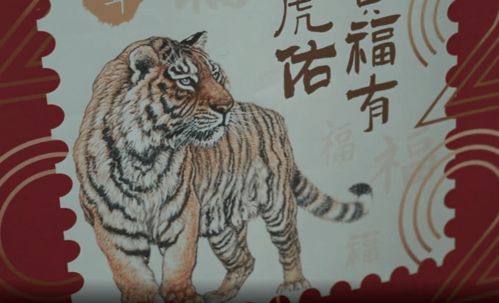 早年虎威和虎虎生威分别代表什么生肖，这两个生肖之间有何关联？