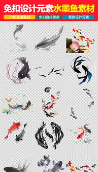 水墨鱼画是怎么来的？让我编给你听